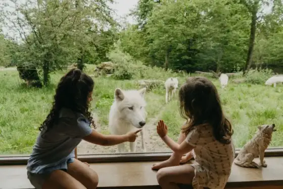 Parc de Sainte-Croix